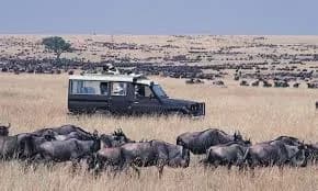 3 Days 2 Nights — Maasai Mara Cover