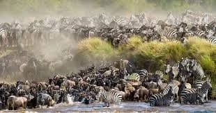 3 Days 2 Nights — Maasai Mara gallery 0