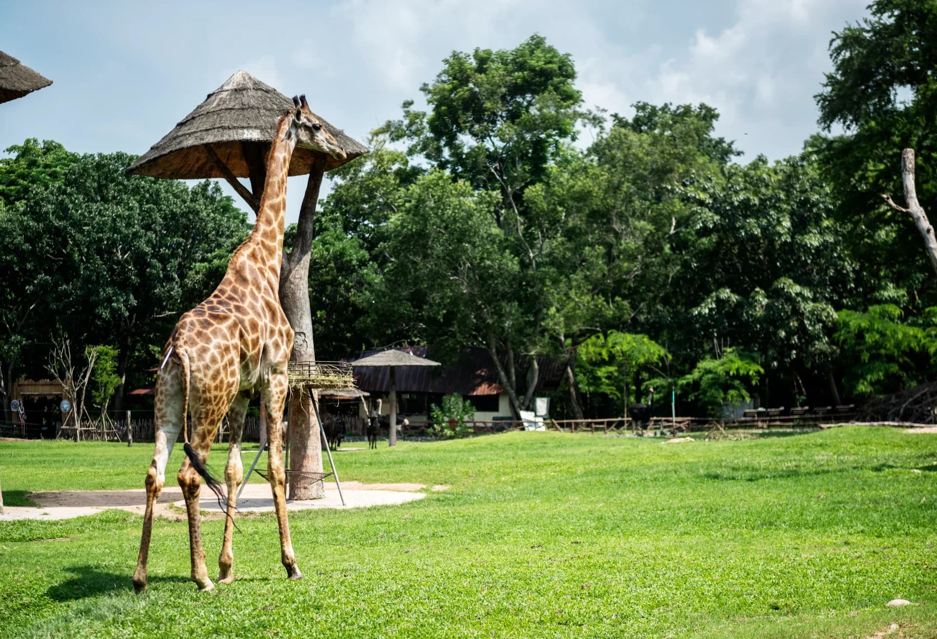 Naivasha & Elementaita Self Drive Getaway Cover