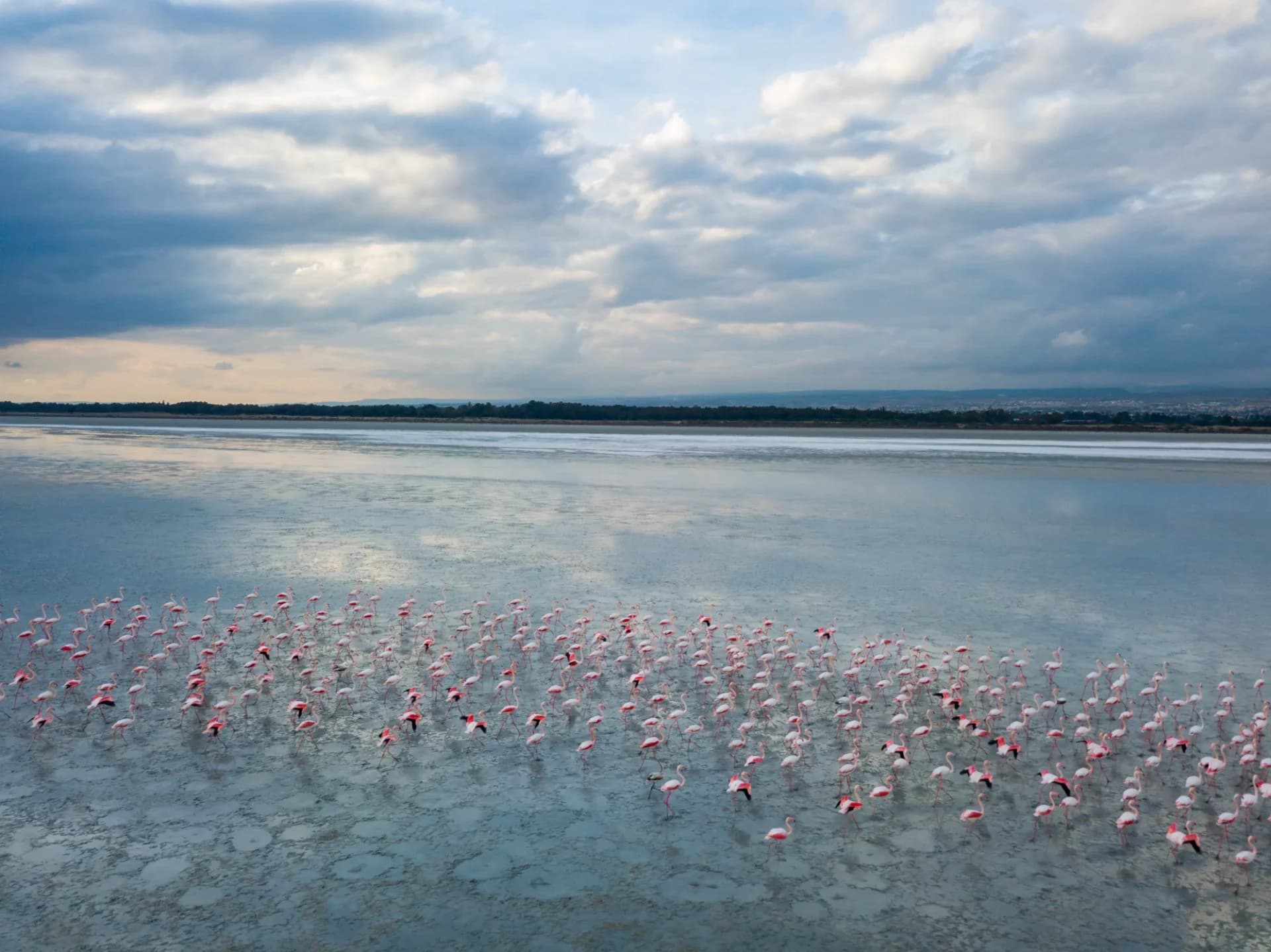 Lake Nakuru National Park