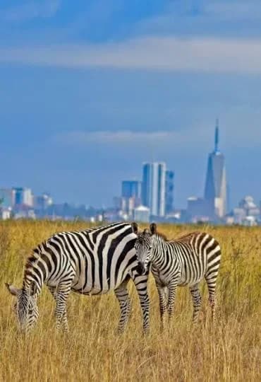 Nairobi National Park