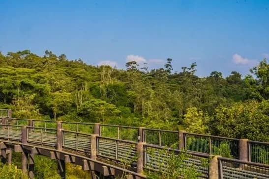 Nairobi Safari Walk